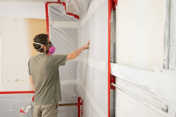 Best Dehumidification Services  in Westville, NJ