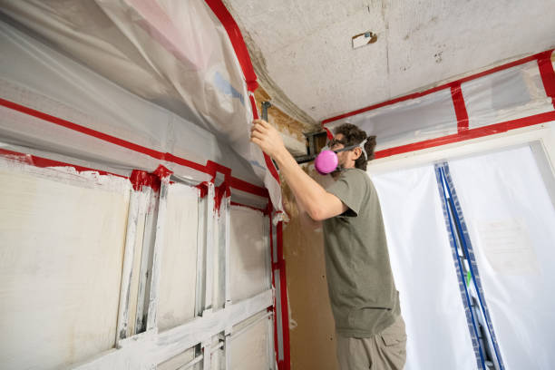  Westville, NJ Mold Removal Pros